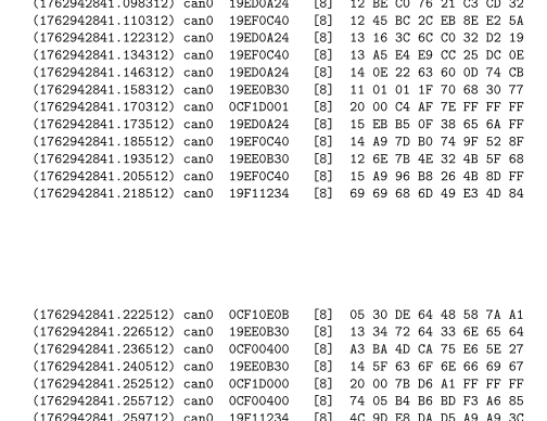 Shows a blank space in the PDF